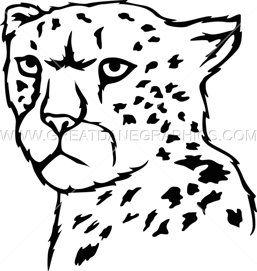 Production Ready Artwork For - Cheetah Drawings Black And White (825x868), Png Download