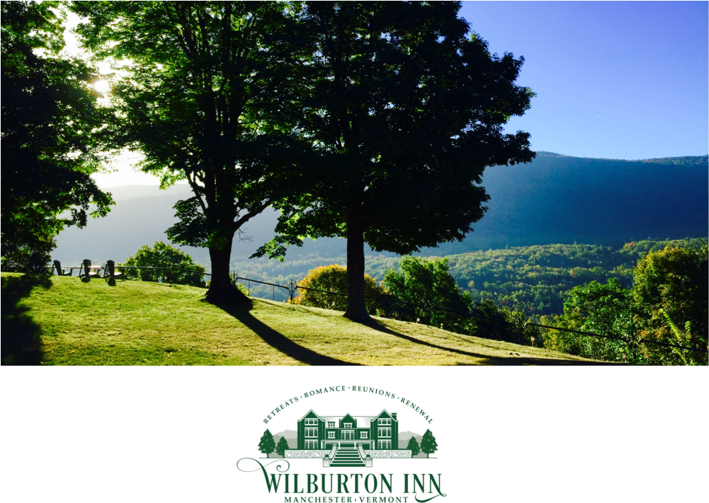 Summer Trees Morning (1000x723), Png Download