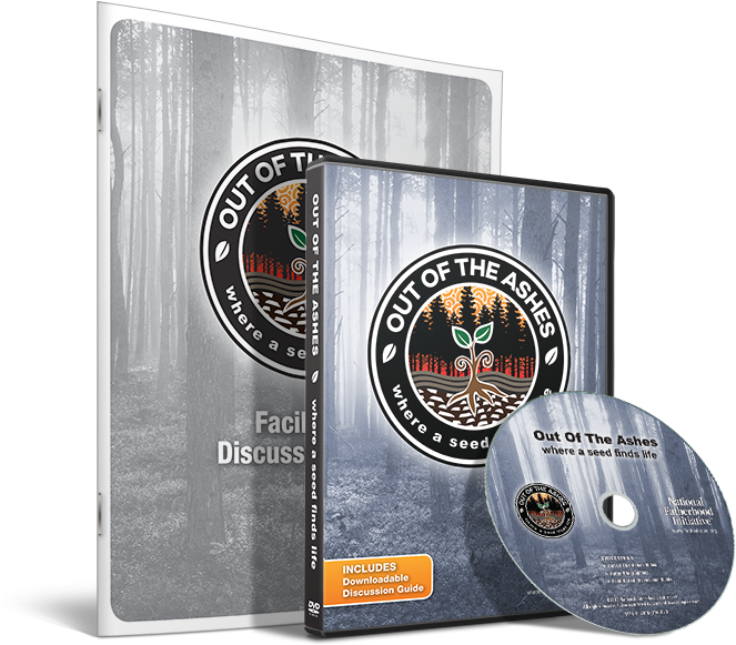 Out Of The Ashes - Emblem (700x700), Png Download