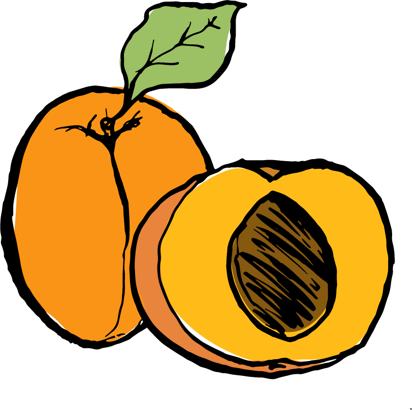 Apricot (808x804), Png Download