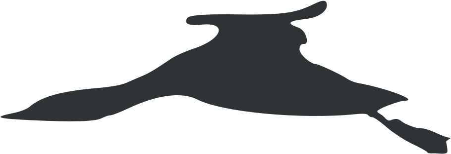 Plongeon Catmarin En Vol Vectorisé - Flight (1024x360), Png Download