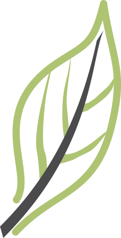 Edge Entity - Hairstyle (400x785), Png Download