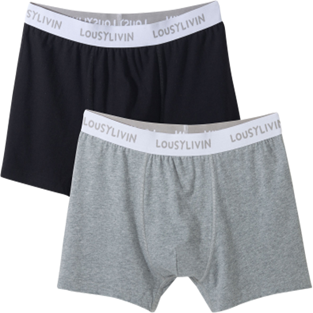 Gayyy V=1508247783 - Lousy Livin (1024x1024), Png Download