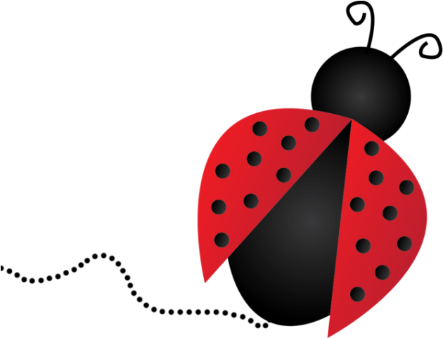 Are Ladybugs Is A Good Luck Or Bad Luck (640x480), Png Download