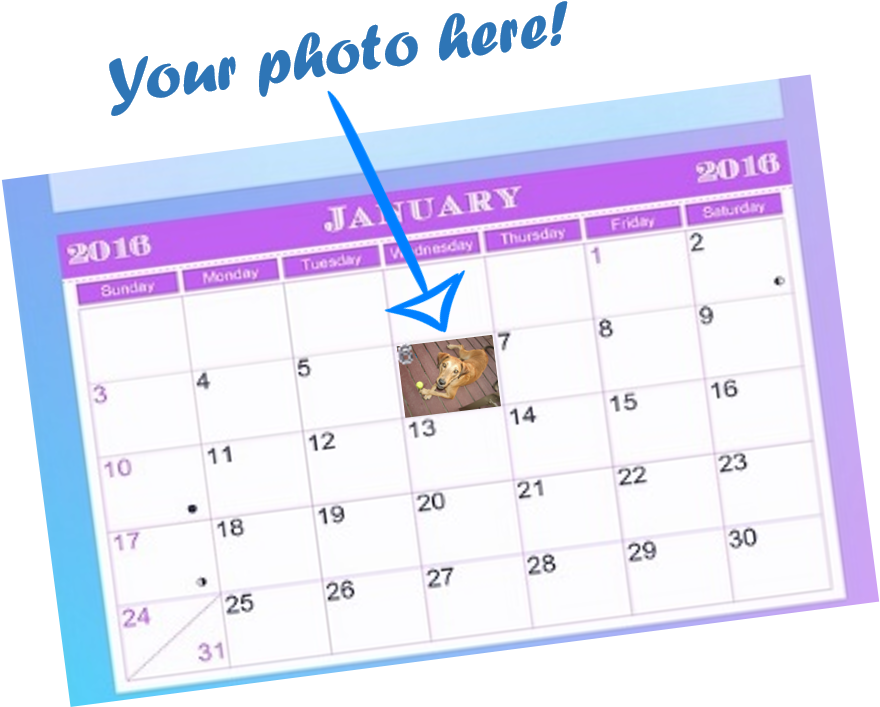 And Find Your Best, High Resolution Pet Picture - Aberdeen Area Humane Society (883x755), Png Download