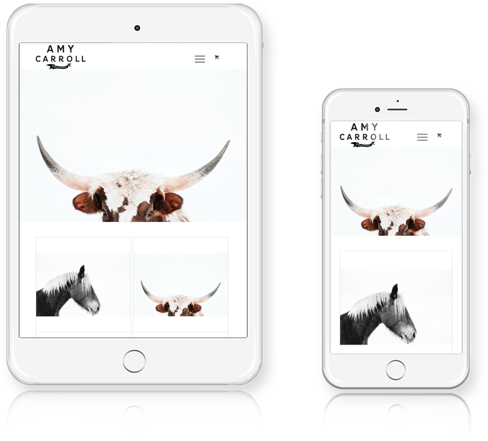 Grand Rapids Wordpress Website Design And Development - Curlyhost Llc (1024x1024), Png Download