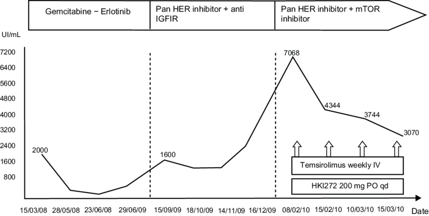 Tumor Marker Evolution During Therapy - Diagram (850x429), Png Download