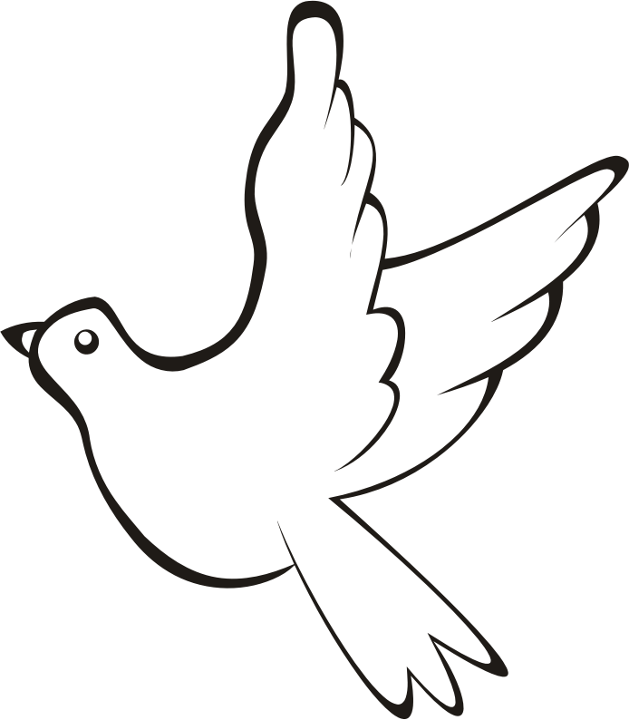 Bird In Flight 3 - Clip Art (694x794), Png Download