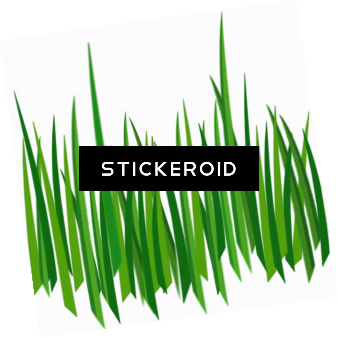 Grass Green Grass - Grass (676x677), Png Download