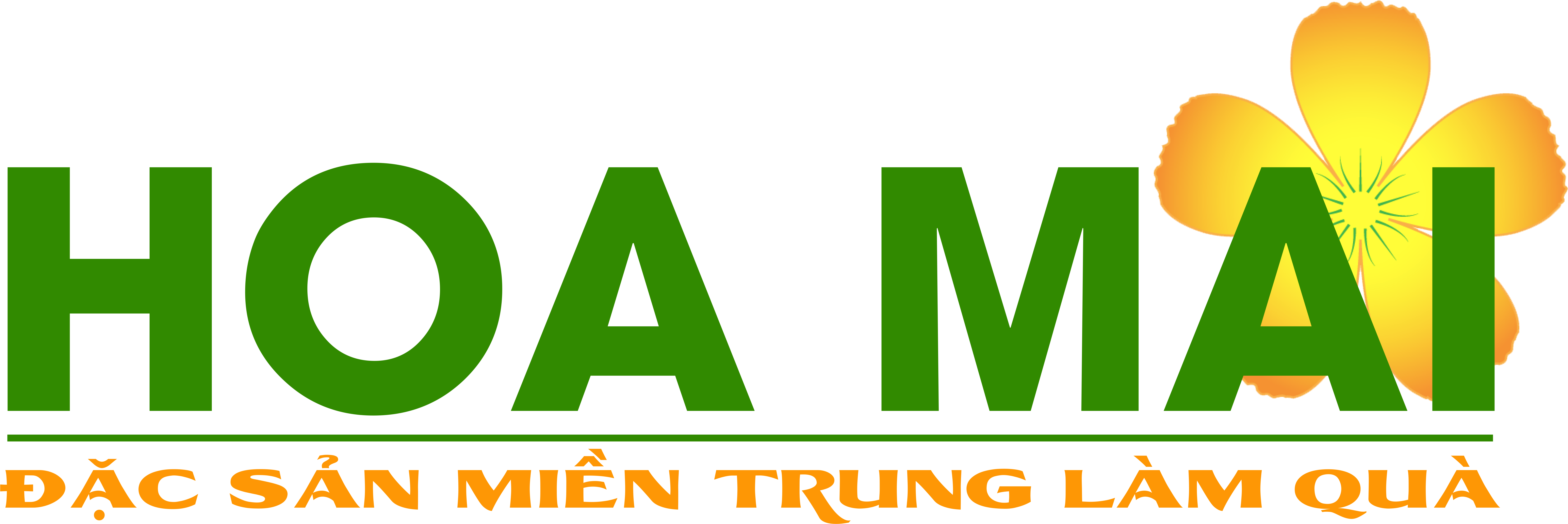 Hoa Mai Hoa Mai - Central Vietnam (8483x3175), Png Download