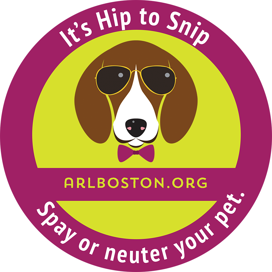 Spay Neuter Dog - Dog (900x900), Png Download