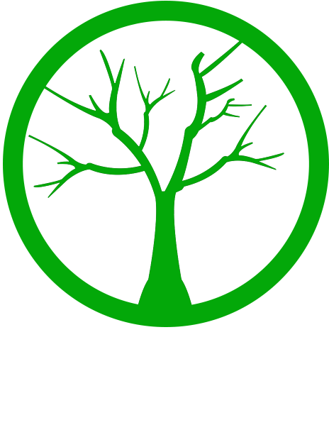 Follow - Dry Tree (532x686), Png Download