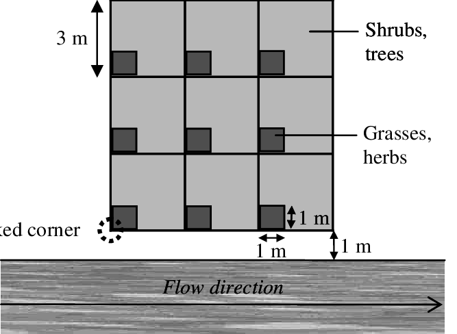 Example Of A Sampling Grid For Censusing Grass And - Tree (667x488), Png Download