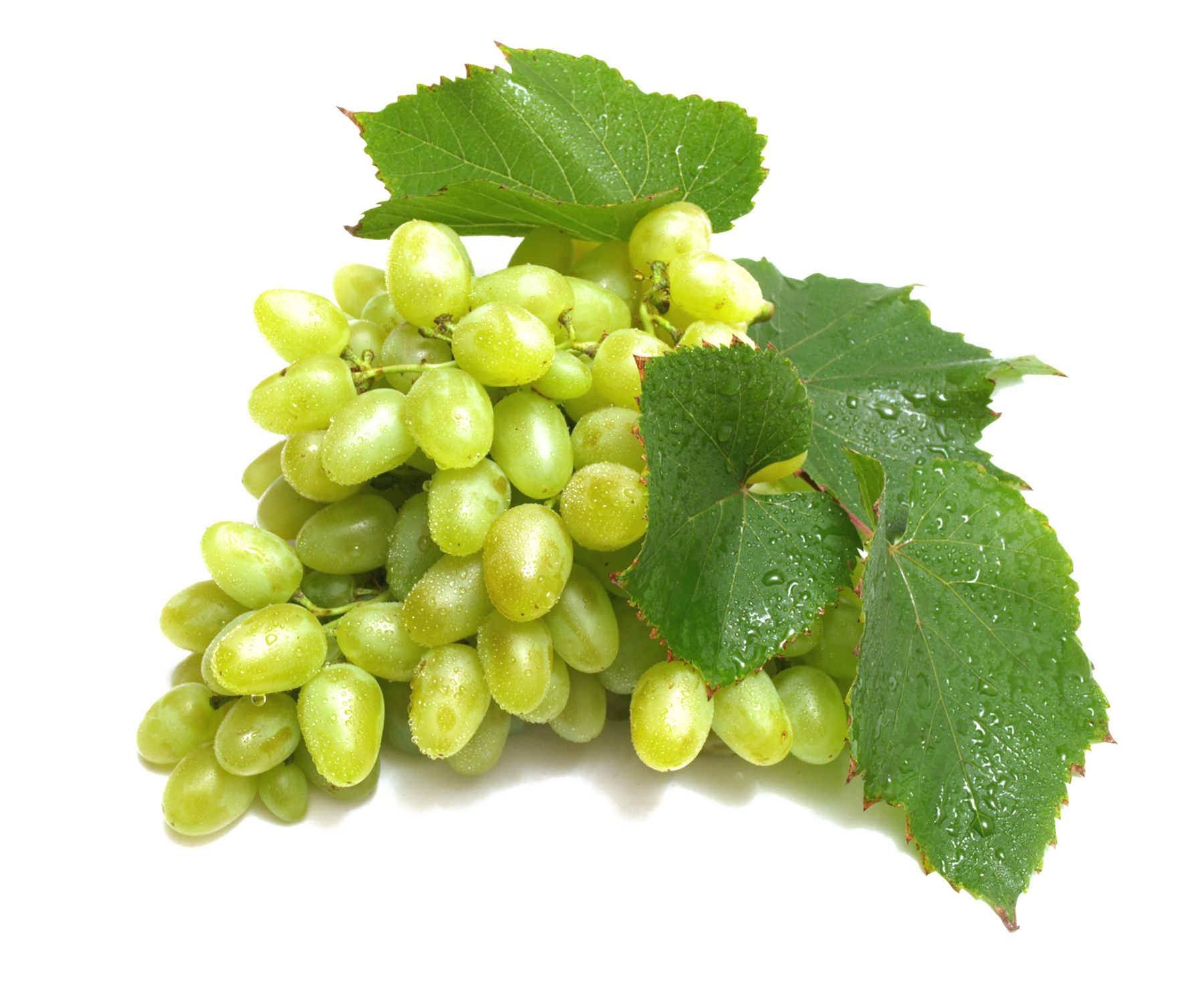 Grapes Png Image Transparent Background - Grapes Images Hd Download (1800x1500), Png Download