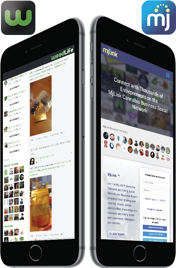 A New Cannabis Only Corporation In Delaware On September - Iphone (590x884), Png Download
