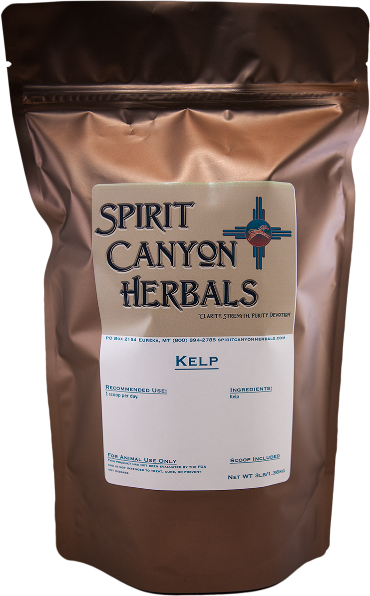 Kelp (1200x1200), Png Download