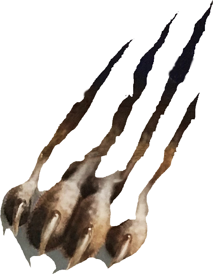 Athletics Cougar Claw - Cougar (986x1157), Png Download