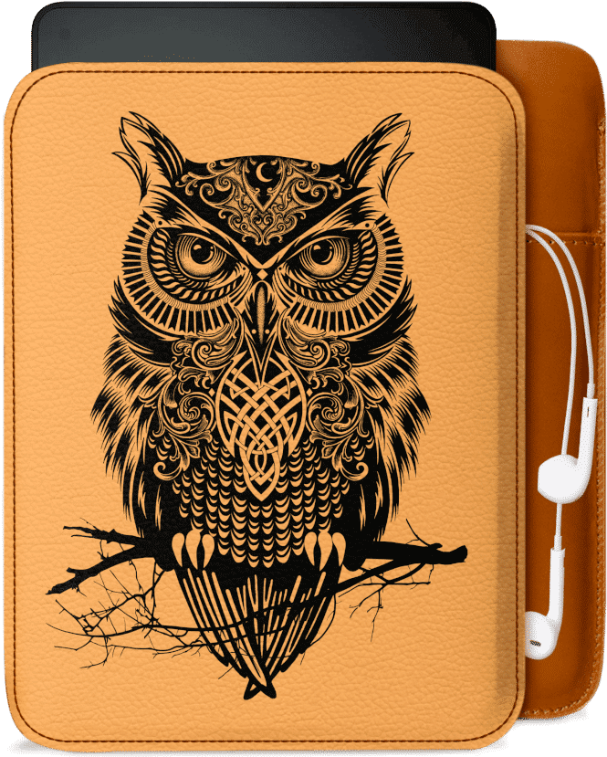 Clip Stock Dailyobjects Warrior Owl Real - Tattoo Owls And Dream Catcher (900x900), Png Download