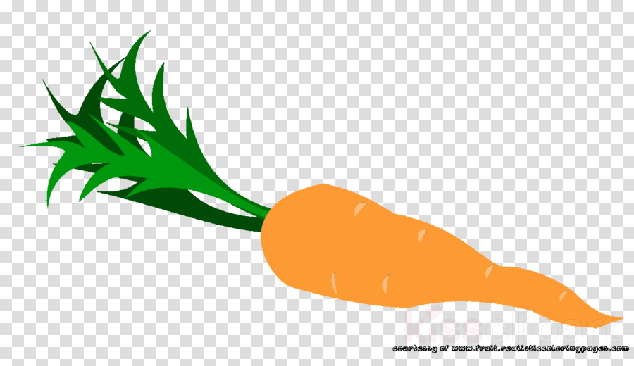 Illustration Clipart Carrot Clip Art - Pink Flamingos Clip Art Free (900x520), Png Download