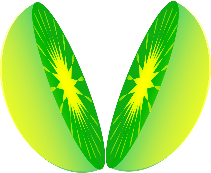 Lemon Slice Cut Image - One Half Fraction Clipart (800x658), Png Download