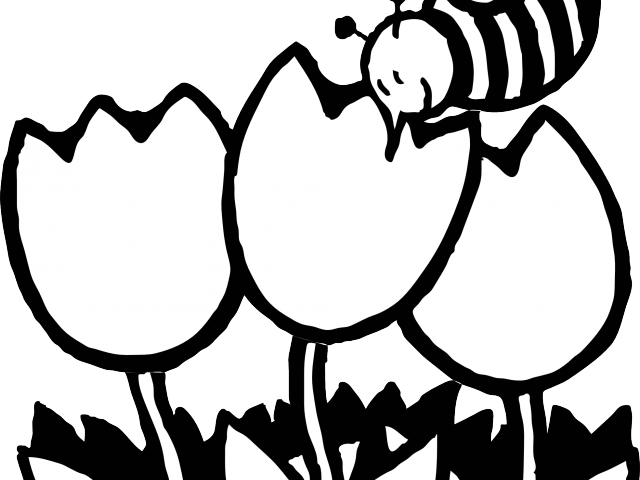 Bee Clipart Outline - Coloring Page Bee Flowers (640x480), Png Download