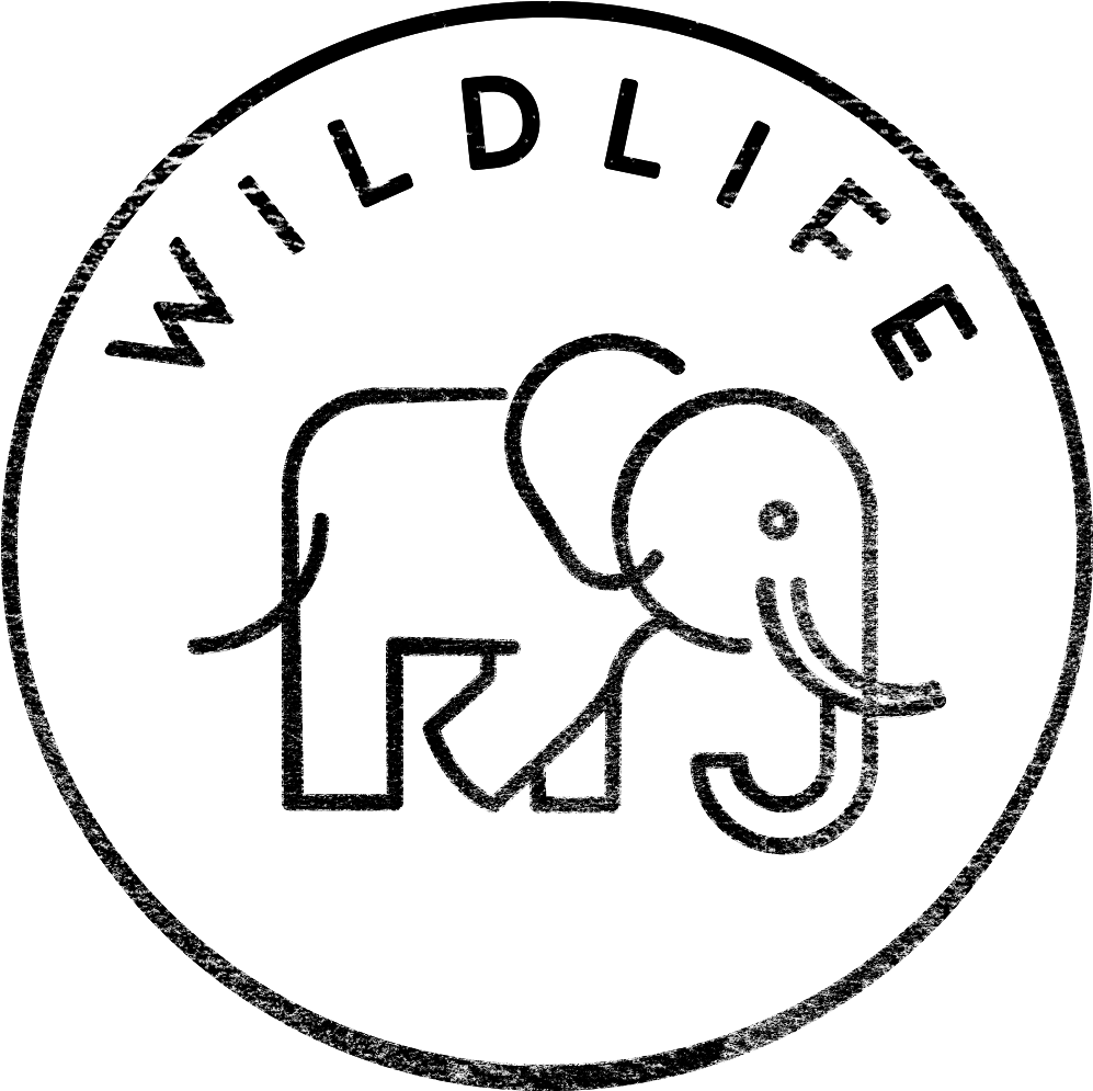 Icon Black Wildlife - Indian Elephant (1028x1028), Png Download