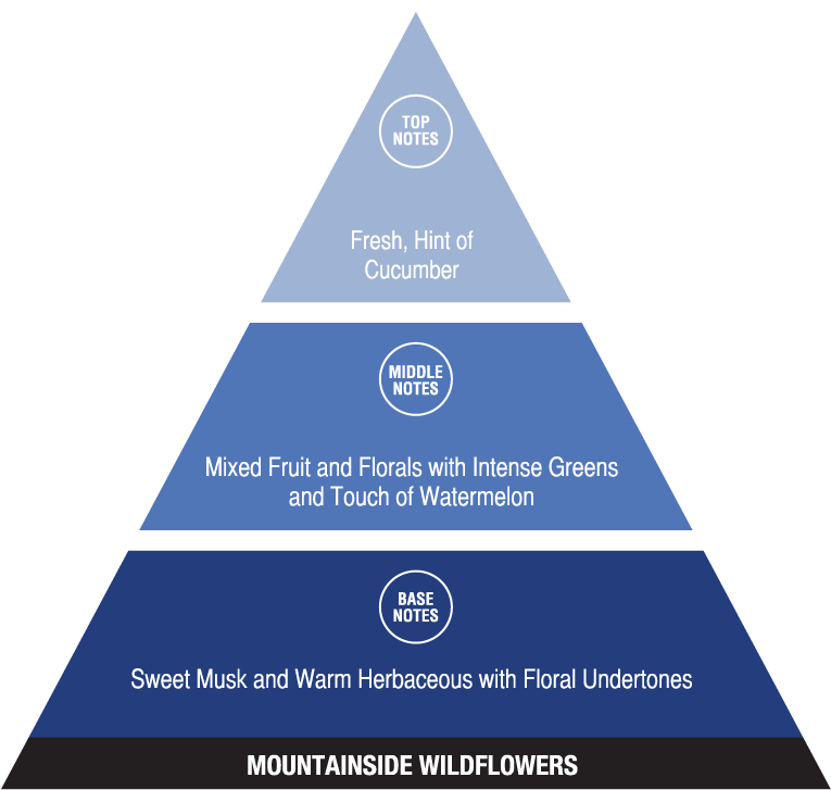 Mountainside Wildflowers - Social Structure Of The Usa (782x734), Png Download