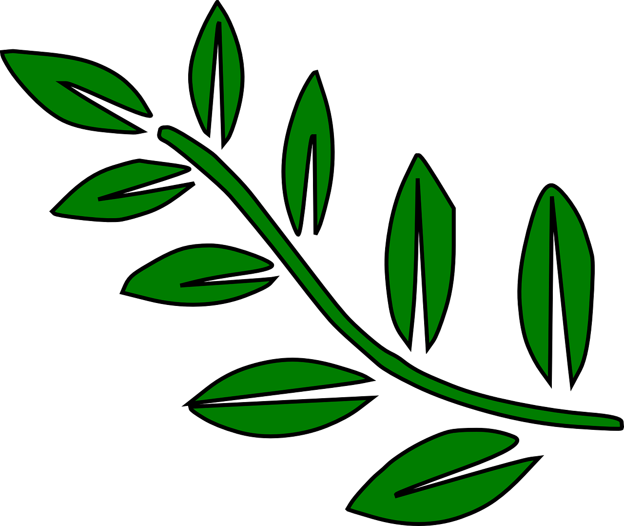 How To Set Use Green Tree Branch Clipart (600x506), Png Download
