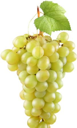¿cuántas Uvas Te Caben En La Boca - Uvas Verdes Png (390x445), Png Download