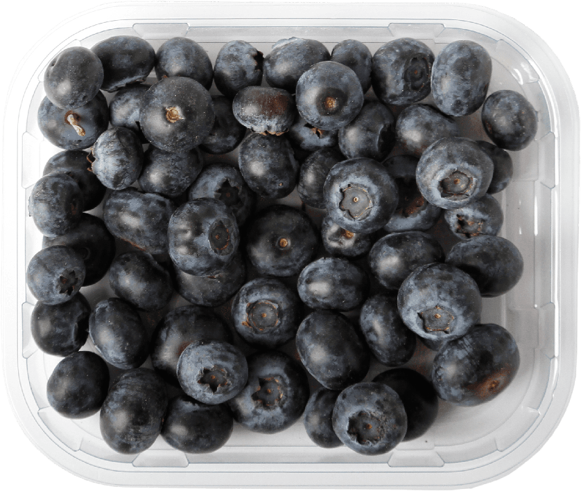 Arándanos - European Blueberry (1500x1282), Png Download