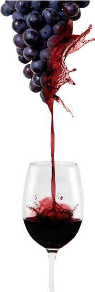 Uva Vino Png - Grapes To Wine (401x600), Png Download