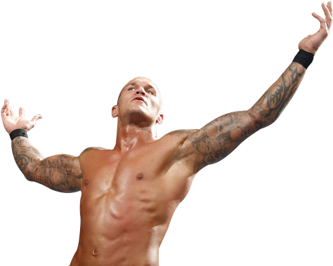 Randy Orton Resolution - Randy Orton Rko Transparent (540x389), Png Download