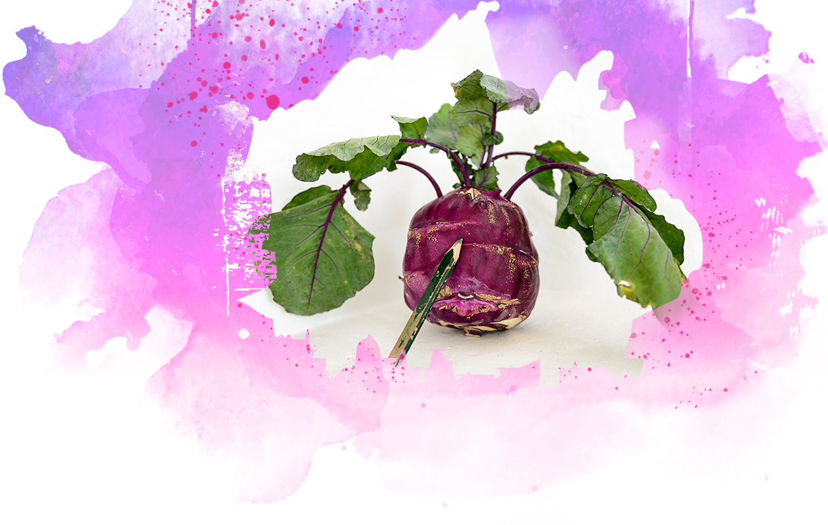 Background - Garden Roses (1200x761), Png Download