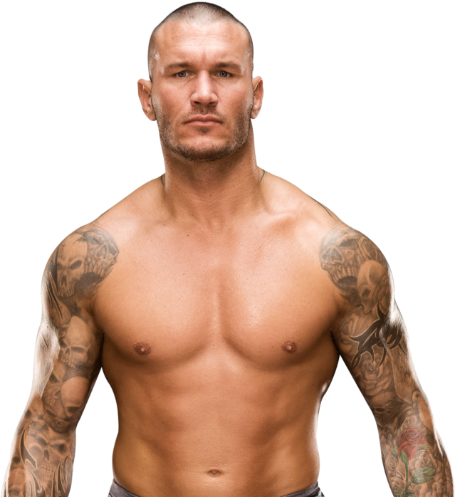 Randy Orton - Randy Orton New Renders (1000x707), Png Download