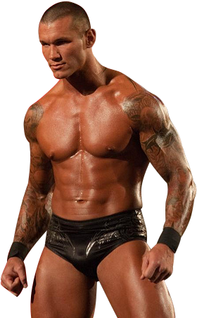 Randy Orton Tattoos - Randy Orton White Background Hd (288x452), Png Download