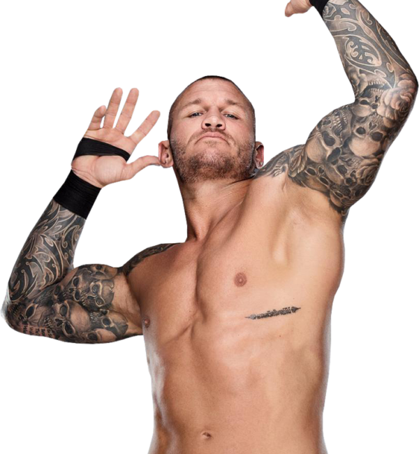 Randy Orton Awesome Picture - Randy Orton (600x650), Png Download
