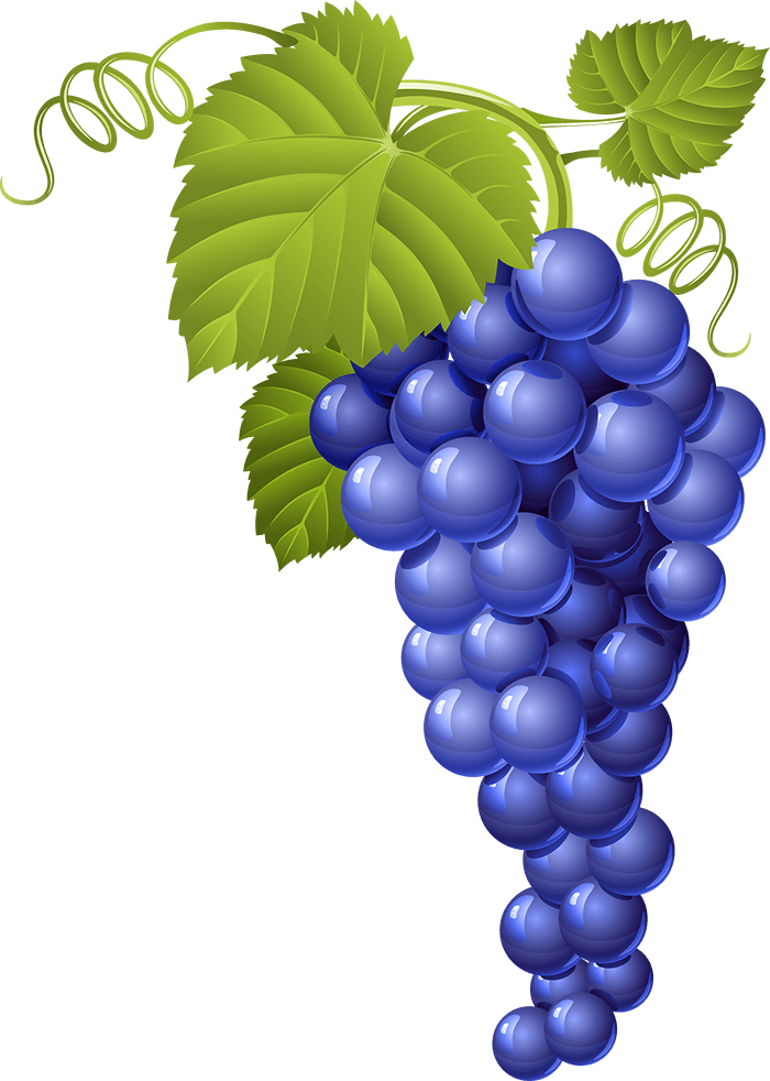 Uvassolas - Wine Vector (700x982), Png Download