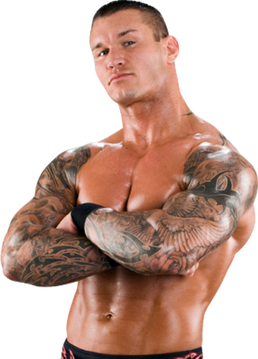 Photo - Wwe Randy Orton Themes (530x737), Png Download