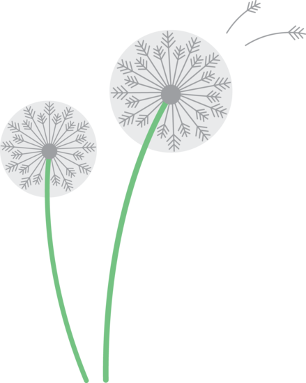 Free Dandelion Image - Clip Art (439x550), Png Download