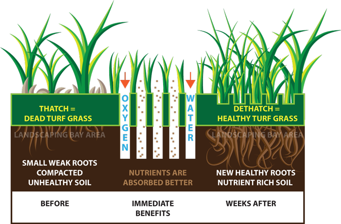 Lawn Aeration & Sprinkler Startup Experts In Aurora, - Lawn Aeration Benefits (675x443), Png Download