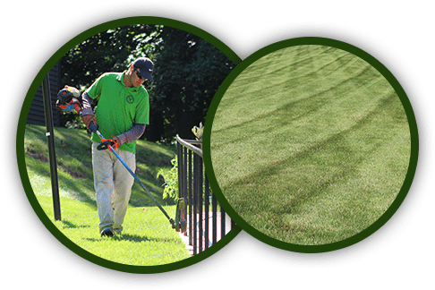 Lawn & Shrub Inc (486x324), Png Download
