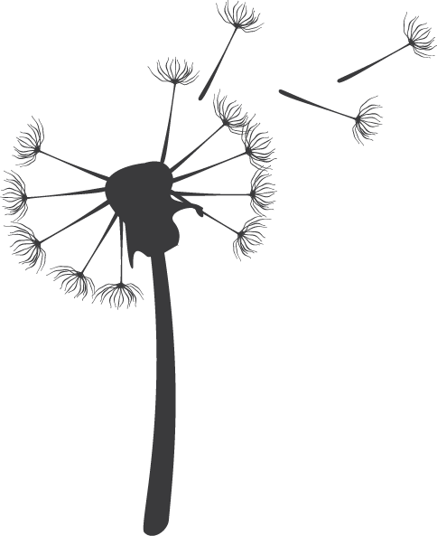Allergies - Teasel (484x593), Png Download