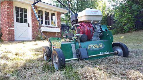 Our Power Raking Service Will Effectively Remove Dead - Lawn (500x500), Png Download