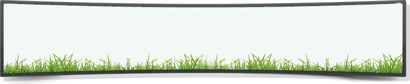 Get Your Lawn Green & Healthy In 2-3 Months With Core - Sweet Grass (800x165), Png Download