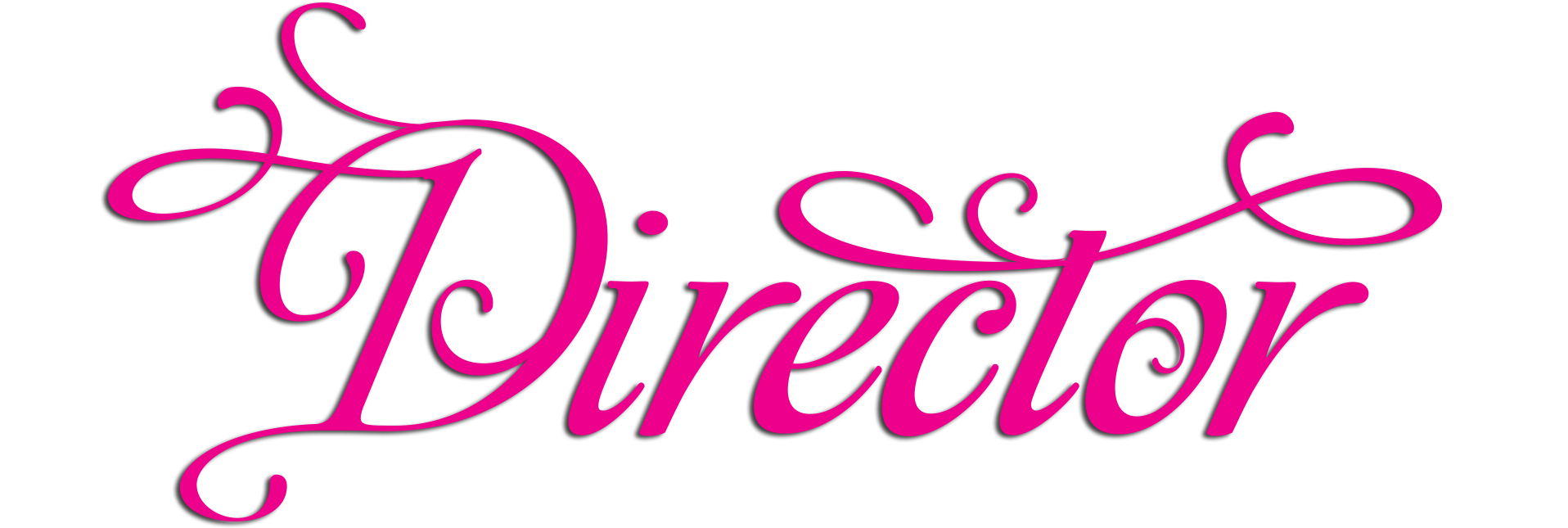 Paparazzi Director Paparazzi Accessories, Paparazzi - Paparazzi Director (1950x664), Png Download