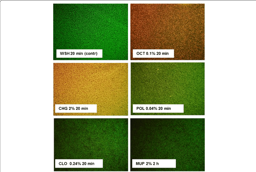 Killing And Permeation Of Mrsa Biofilms By Antimicrobials - Common Fig (850x572), Png Download