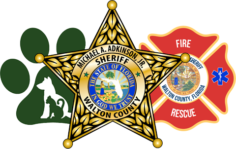 Walton County Sheriff's Office, - Walton County Sheriff Office Logo (480x302), Png Download