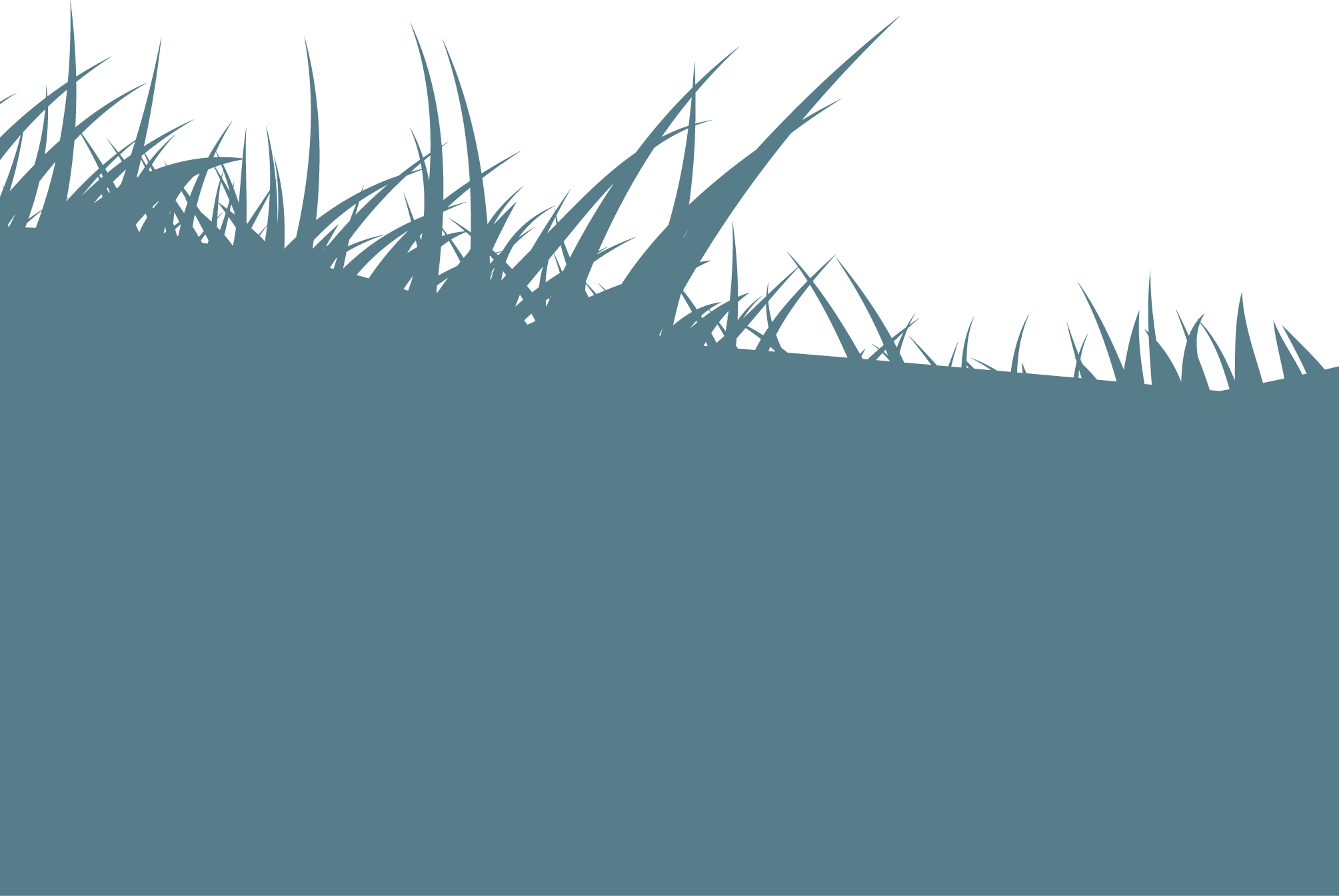 Likely, Ai Will Give Us The Means To Read Dead Languages - Grass (2009x1344), Png Download