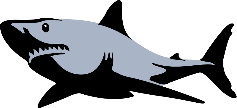 Shark Png Images (600x274), Png Download