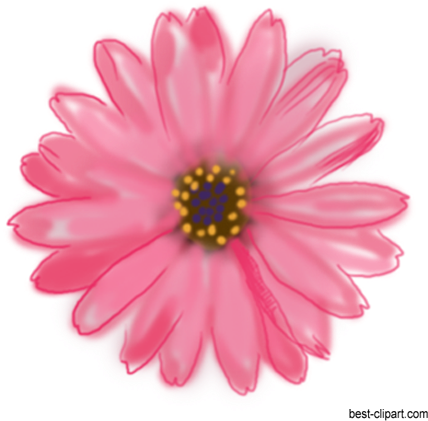 Pink Painted Flower Clip Art Free - Pink Gerbera (450x432), Png Download